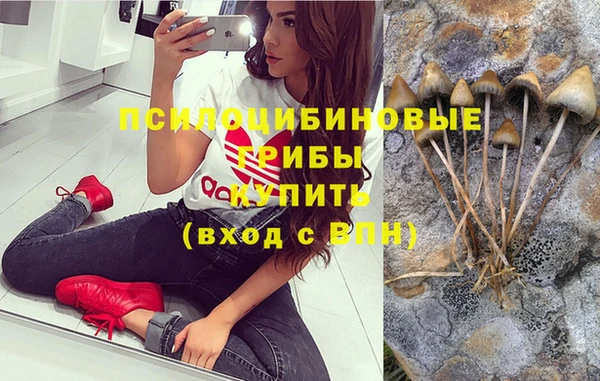 прущий лед Алзамай