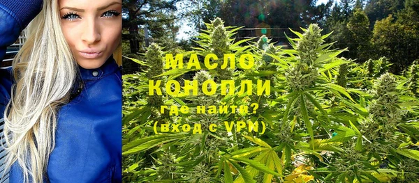 дмт Алексин