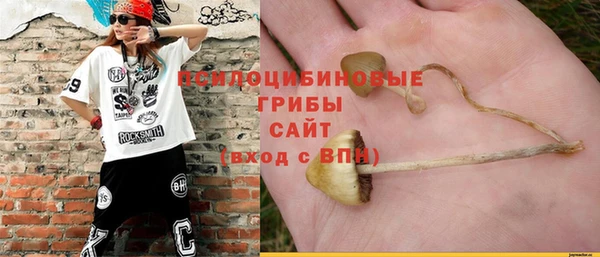 прущий лед Алзамай