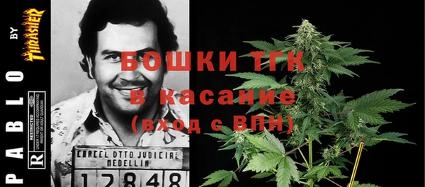 дмт Алексин